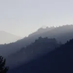 Lilie / Garni 3*