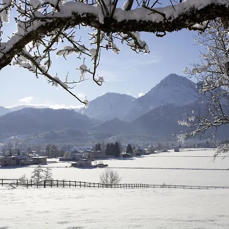 Lilie / Garni Reutte