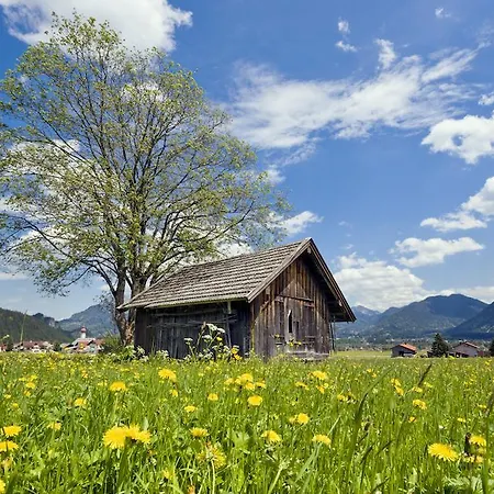 Lilie / Garni 3* Reutte