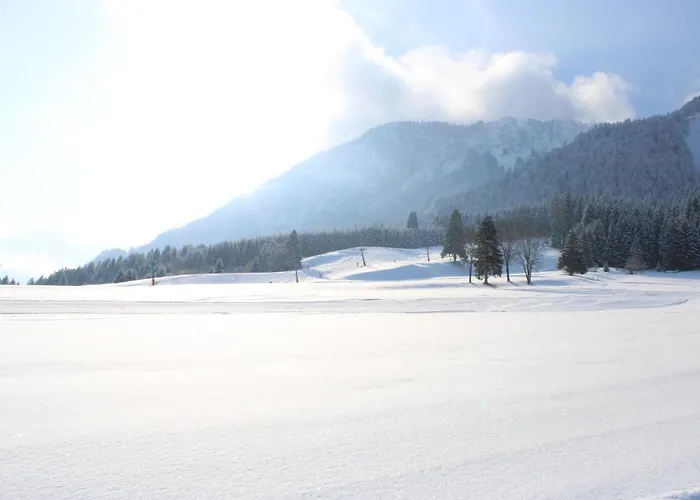 Guest house Lilie / Garni