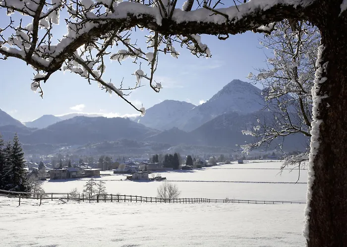 Lilie / Garni Reutte