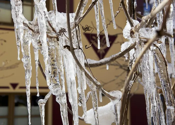 Guest house Lilie / Garni