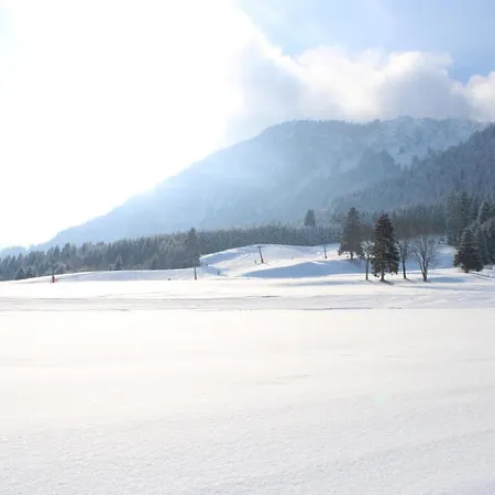 ゲストハウス Lilie / Garni