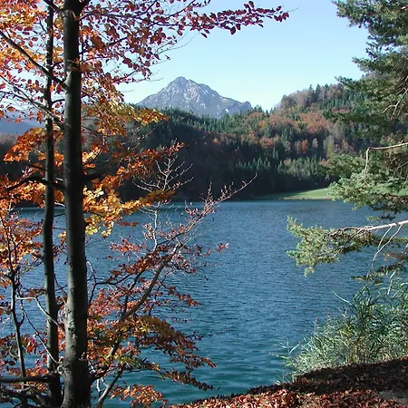 Lilie / Garni ロイテ