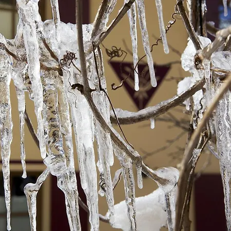 ゲストハウス Lilie / Garni