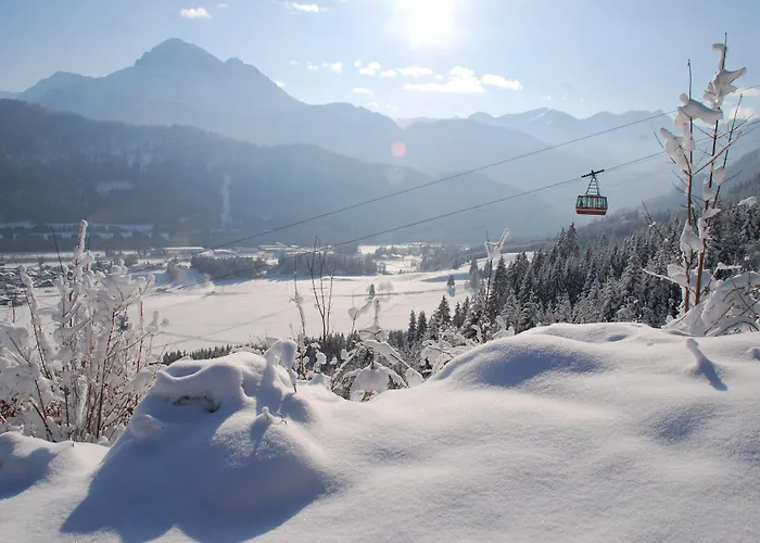 Lilie / Garni Konukevi Reutte